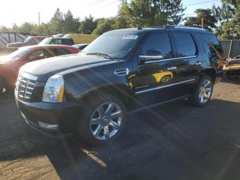  Salvage Cadillac Escalade