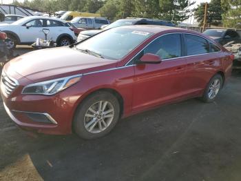  Salvage Hyundai SONATA