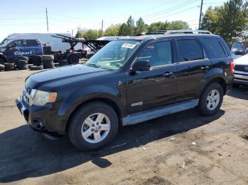  Salvage Ford Escape