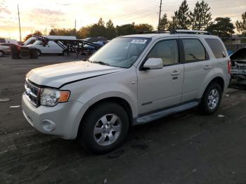  Salvage Ford Escape