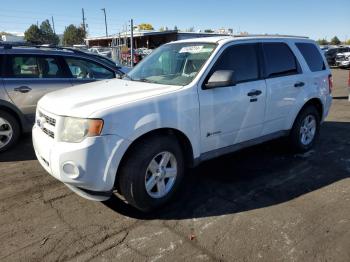  Salvage Ford Escape