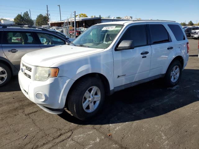  Salvage Ford Escape