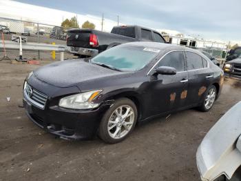  Salvage Nissan Maxima