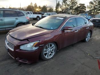  Salvage Nissan Maxima