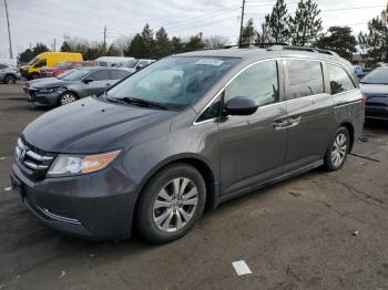  Salvage Honda Odyssey