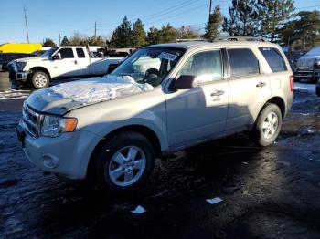  Salvage Ford Escape