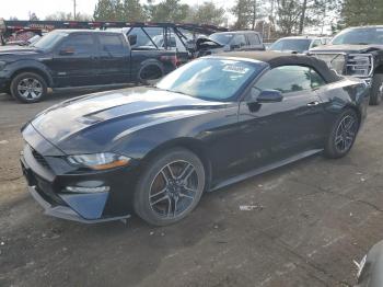  Salvage Ford Mustang