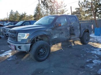  Salvage Ford F-150