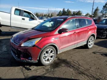  Salvage Ford Escape