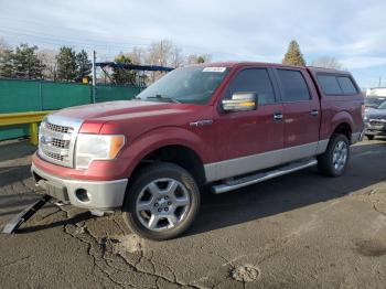  Salvage Ford F-150