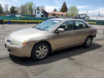  Salvage Honda Accord