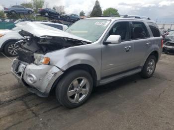  Salvage Ford Escape
