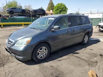  Salvage Honda Odyssey