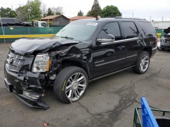  Salvage Cadillac Escalade