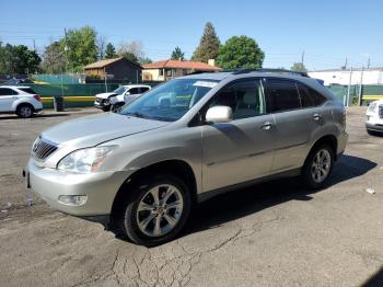  Salvage Lexus RX