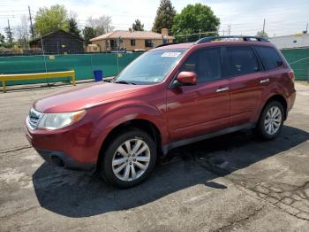  Salvage Subaru Forester
