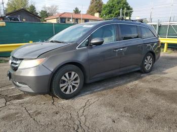 Salvage Honda Odyssey