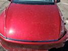 Tesla Model Y Image 11