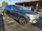 Ford Escape Sel Image 3