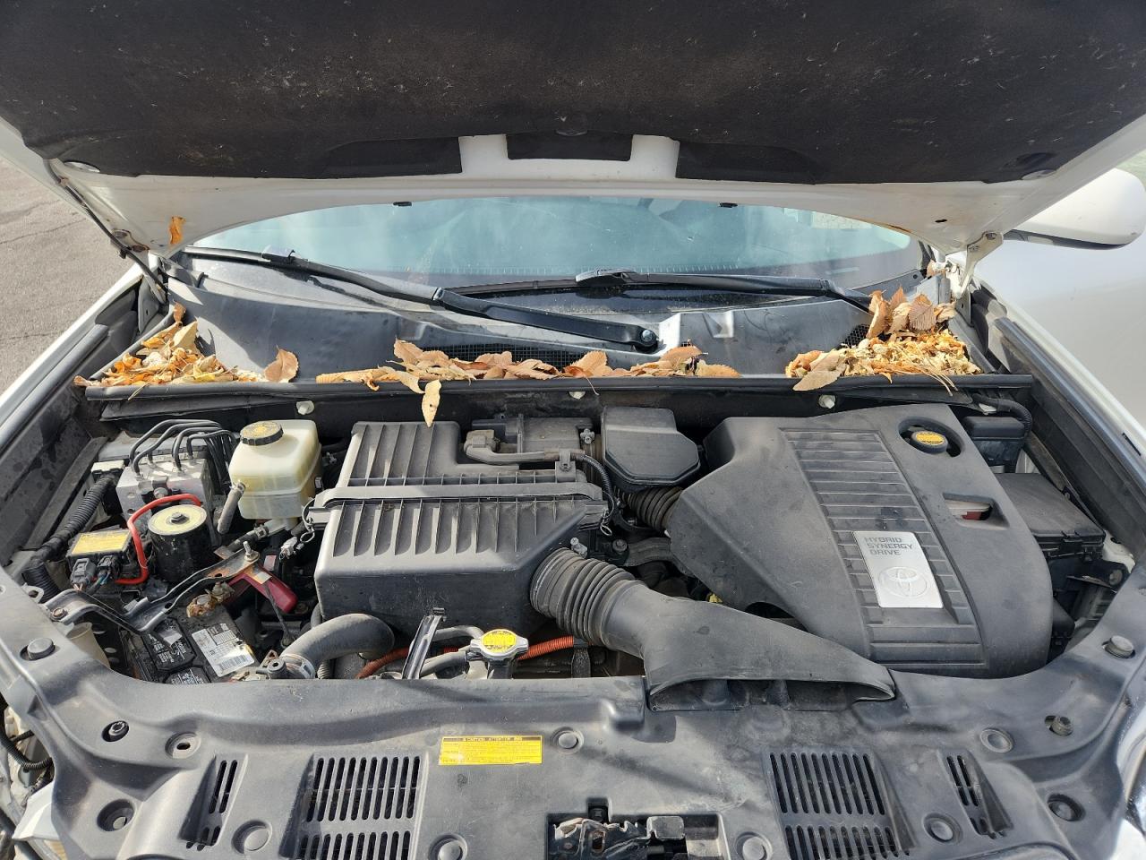 Toyota Highlander Hybrid Image 9