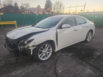  Salvage Nissan Maxima