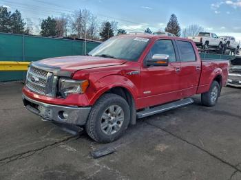  Salvage Ford F-150