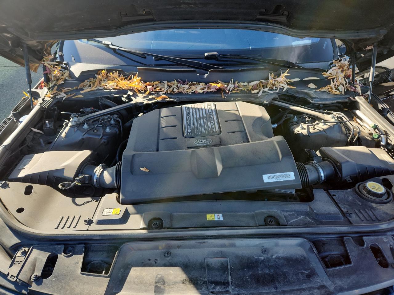 Land Rover Range Rover Hse Dynamic Image 9