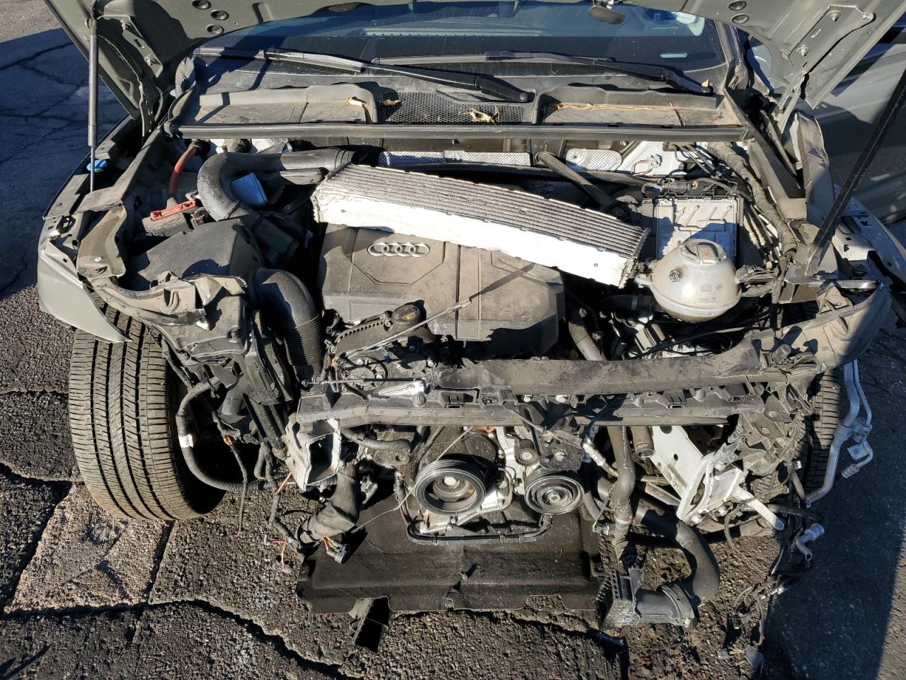 Audi Q5 Premium Plus 45 Image 7