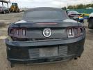 Ford Mustang Image 4