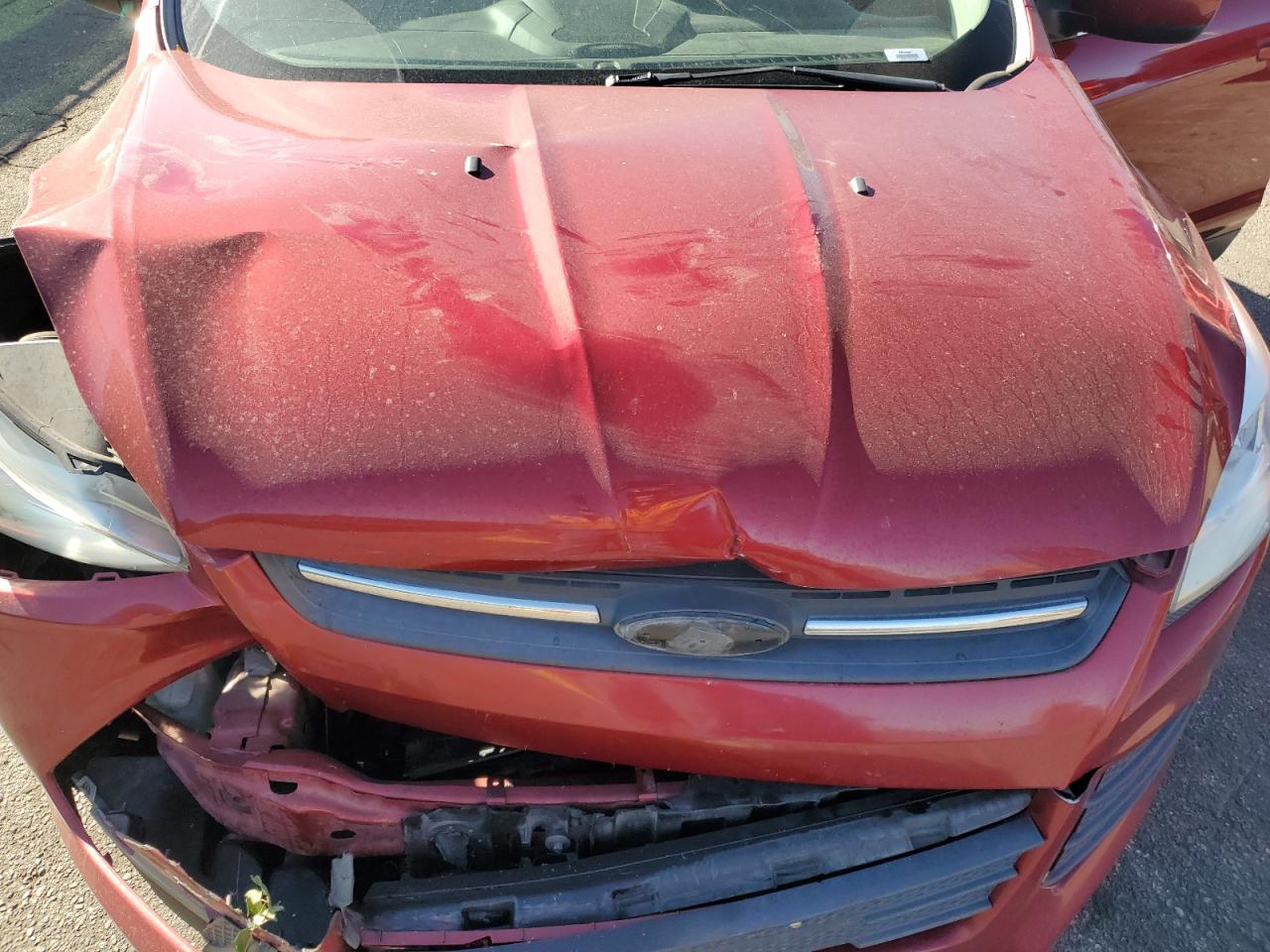 Ford Escape Se Image 6