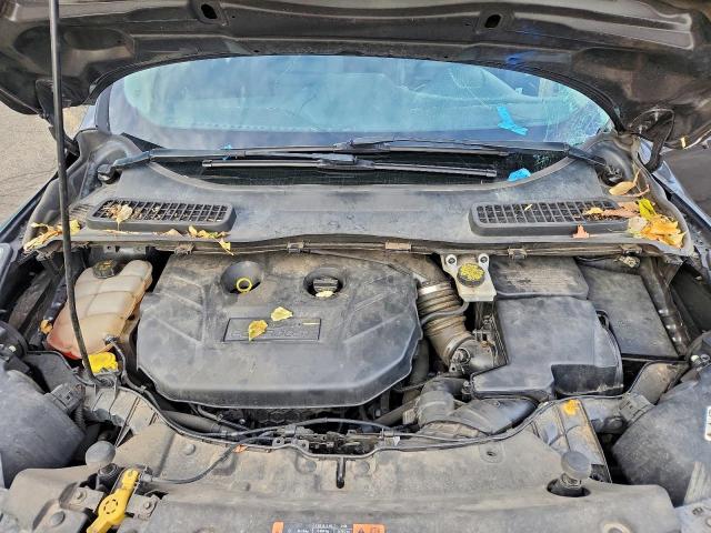 Ford Escape Titanium Image 7