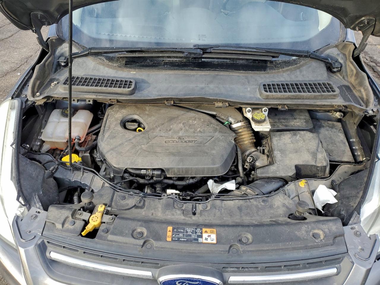 Ford Escape Se Image 6