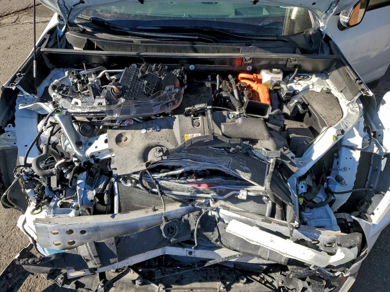 Toyota RAV4 Xse Image 12