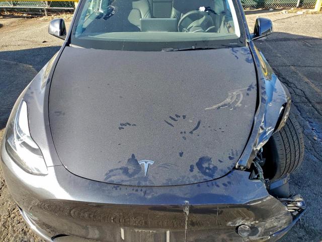 Tesla Model Y Image 7