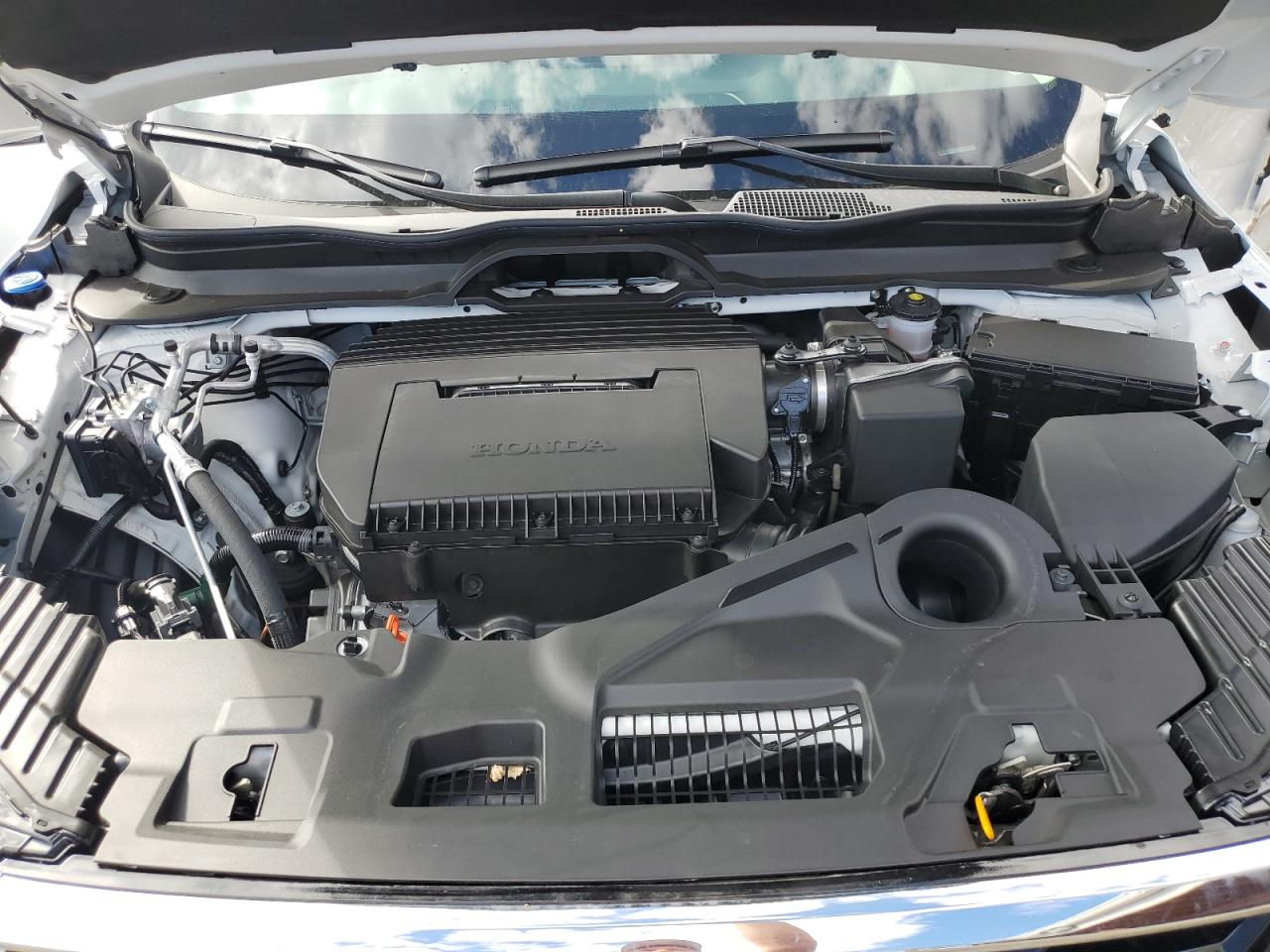 Honda Pilot Elite Image 7