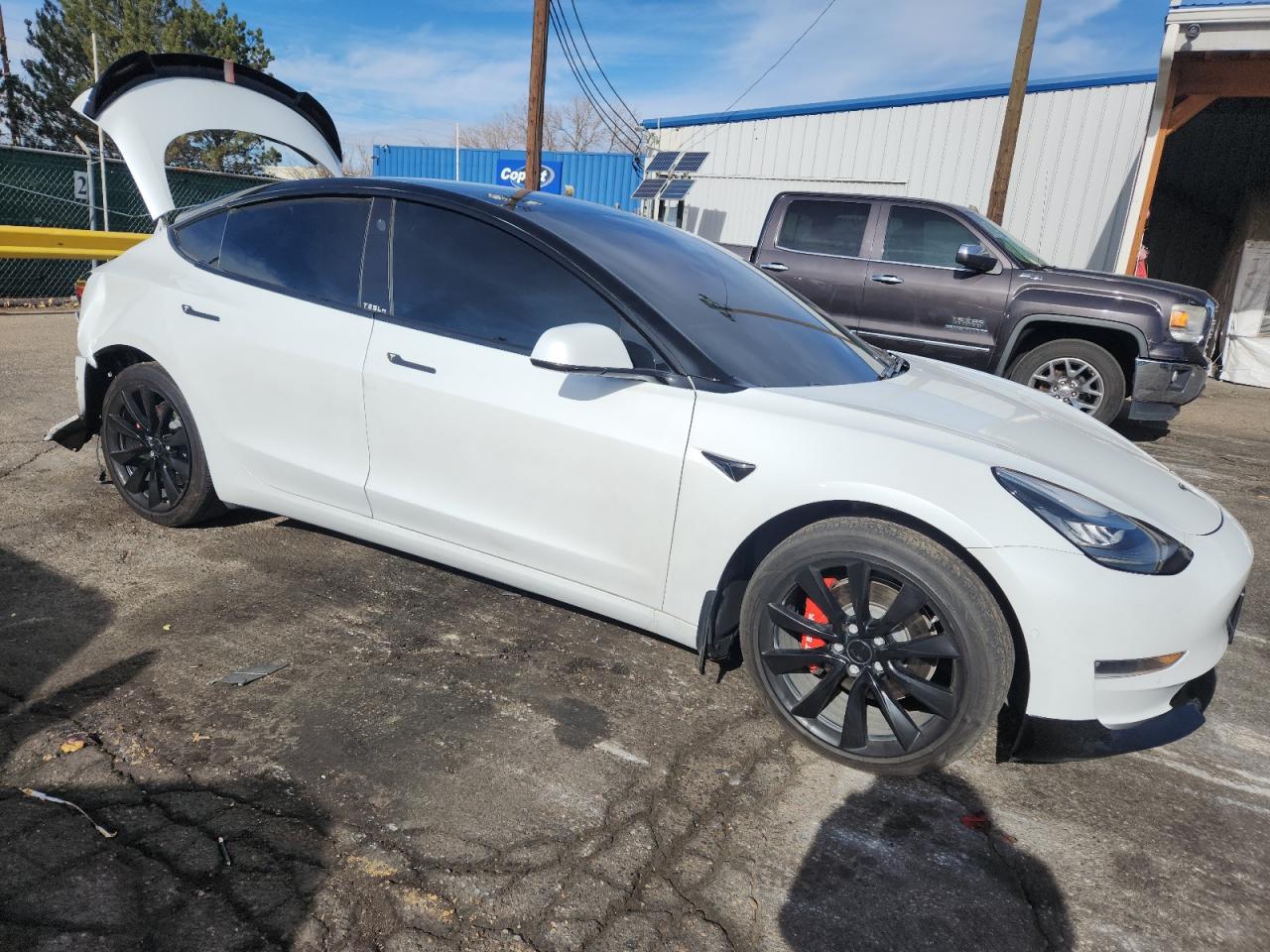 Tesla Model 3 Image 12