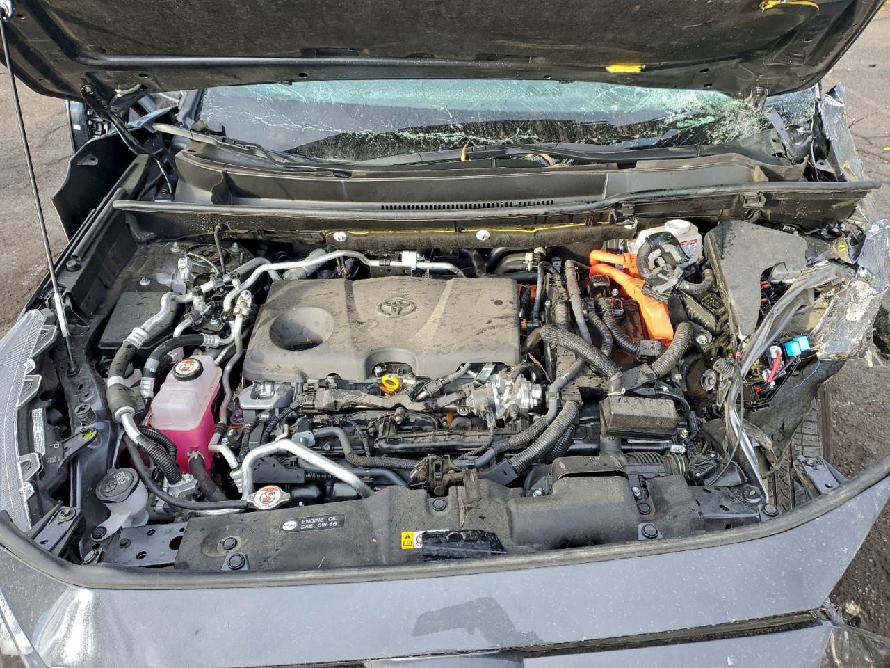 Toyota RAV4 Xse Image 3