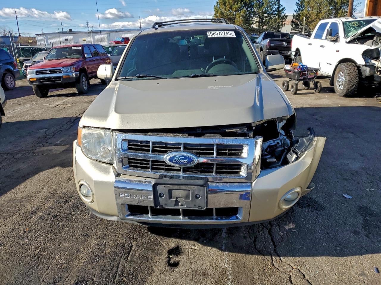 Ford Escape Limited Image 4