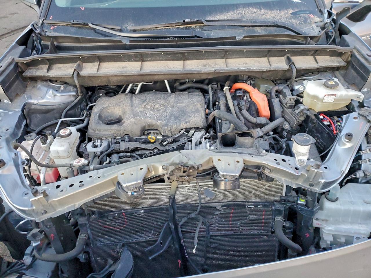 Toyota Highlander Hybrid Xle Image 4