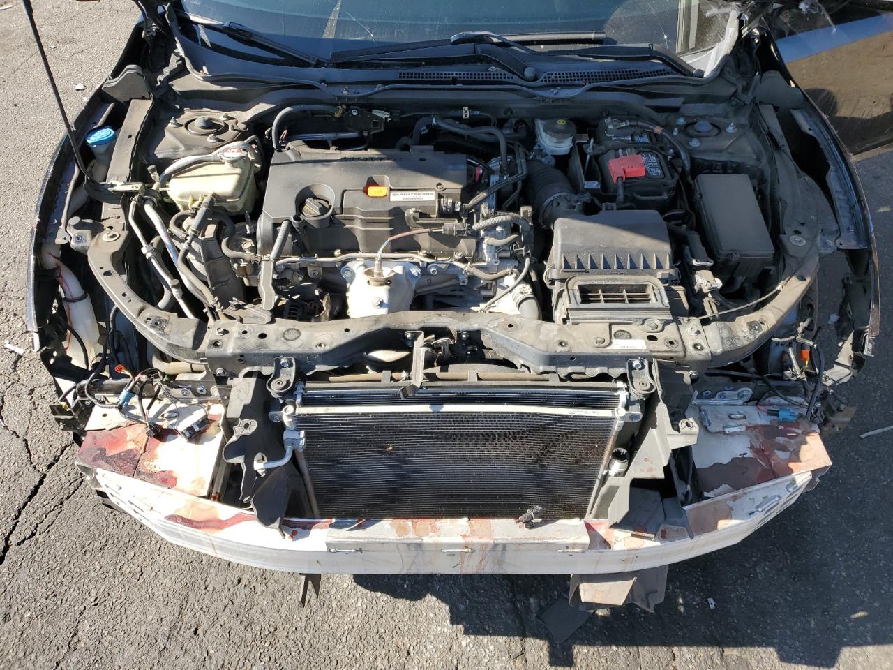 Honda Civic Lx Image 8