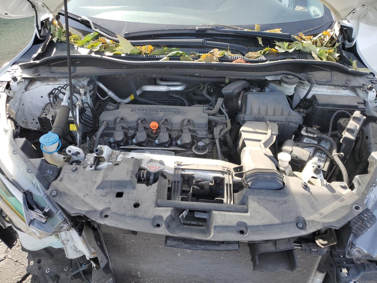 Honda HR-V Exl Image 14