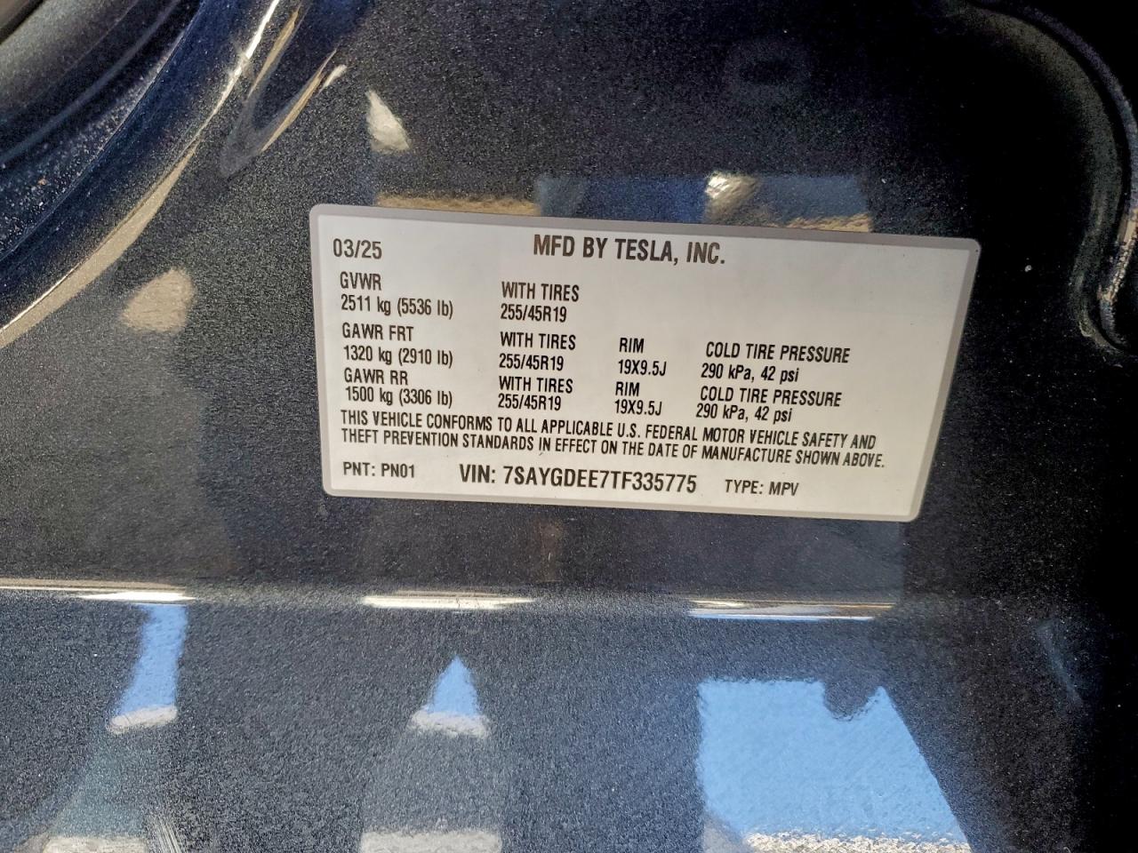 Tesla Model Y Image 3