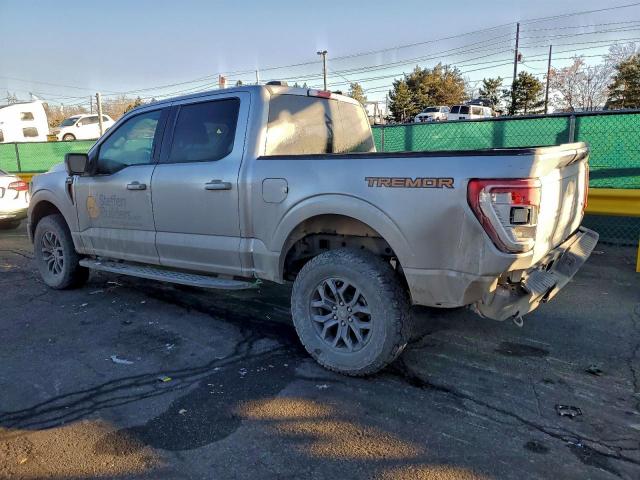 Ford F-150 Supercrew Image 2