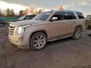 Cadillac Escalade Luxury Image 1
