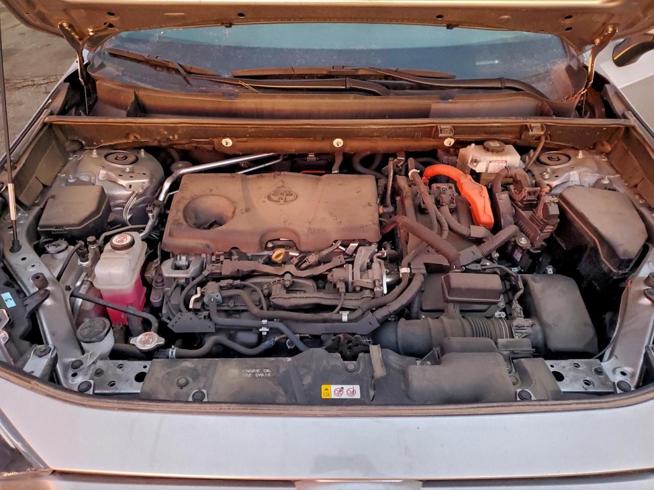 Toyota RAV4 Xle Image 6